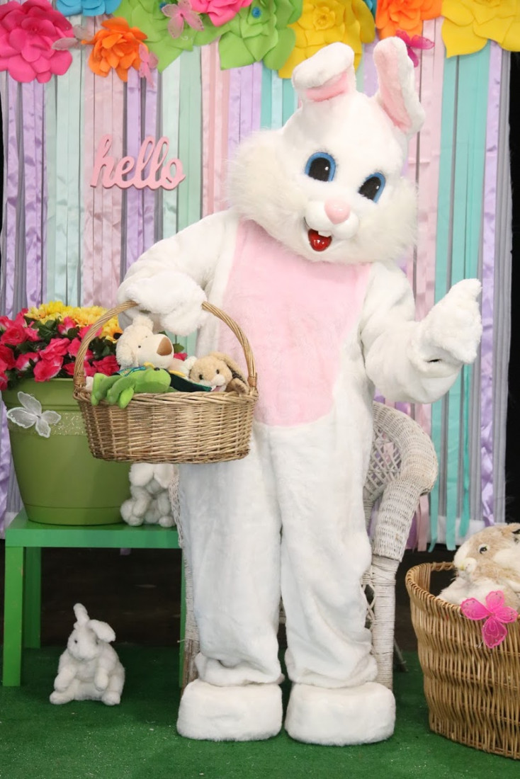 Hire Easter Bunny OC & LA Easter Bunny in Orange County, California