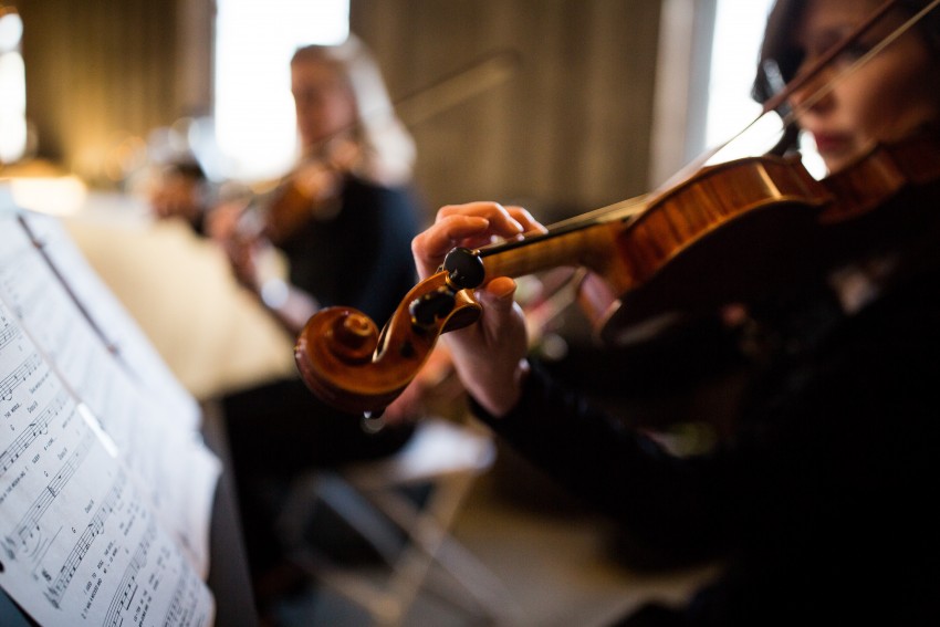 Hire Elegancia Violin Duet Violinist in Kansas City, Missouri