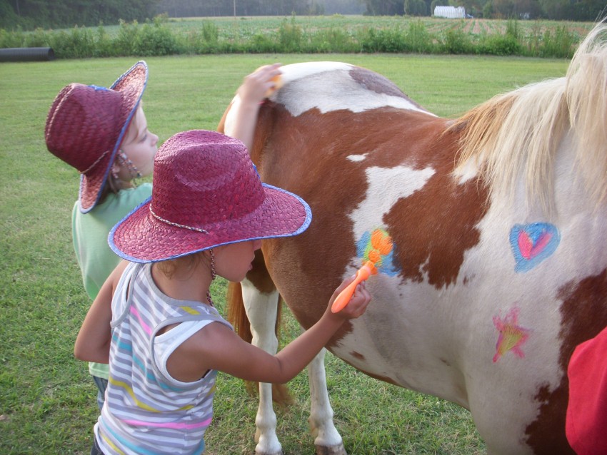 Hire Giddy UpNGet Up Pony Party in Burgaw, North Carolina