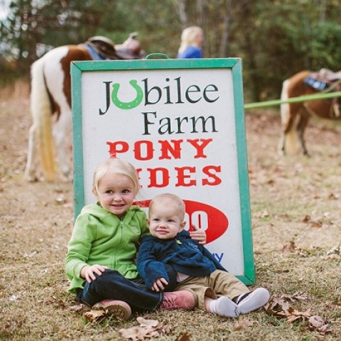 jubilee opelika petting gigsalad