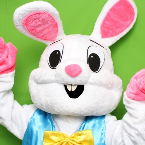 Download Hire Las Vegas Easter Bunny - Easter Bunny in Las Vegas ...