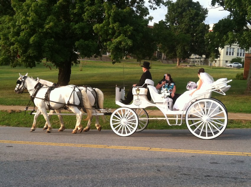 Hire Lexington Carriage Company Horse Drawn Carriage in Lexington