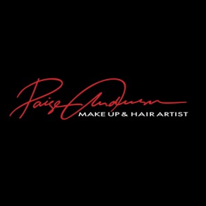 Hire Paige Anderson Professional Makeup Hair Stylist Makeup