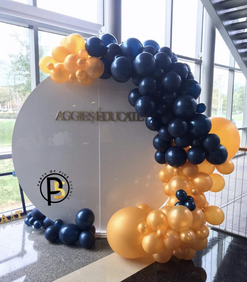 Hire Party Of 5 Eventz Balloon Decor in Greensboro, North Carolina