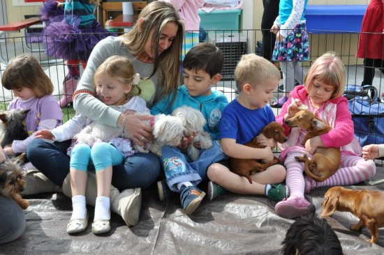 Hire Puppies and Reptiles for Parties - Petting Zoo in Torrance, California