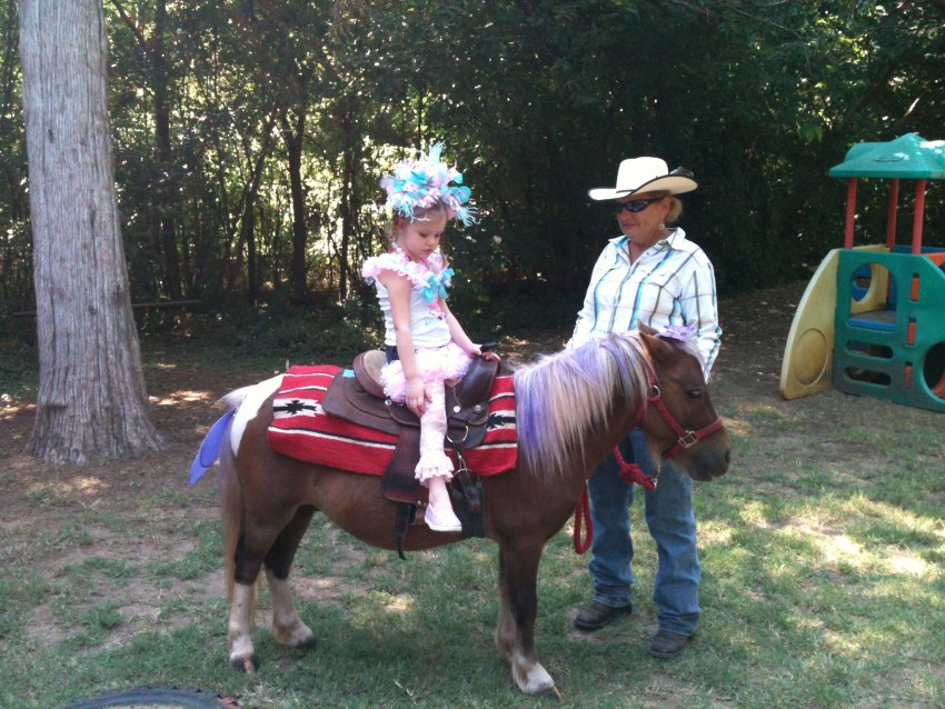 Hire RJ Ponies and Parties Pony