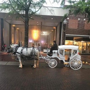 horse and buggy rides near me