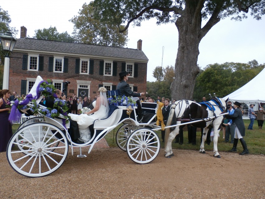 Hire Smithfield Horse & Carriage, Ltd. Horse Drawn Carriage in