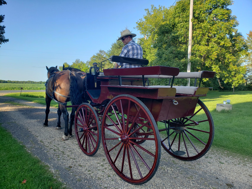 Hire Swanepoel Carriage and Wagon Rides Horse Drawn Carriage in