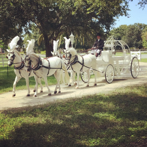 barbie fairytale horse and carriage