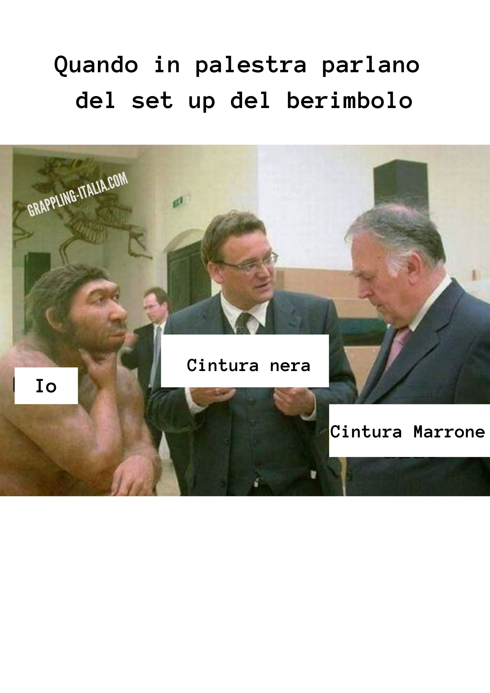 Il berimbolo e me