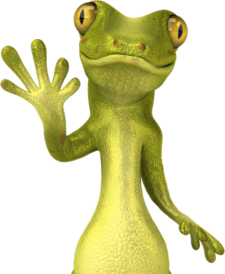 FME Lizard
