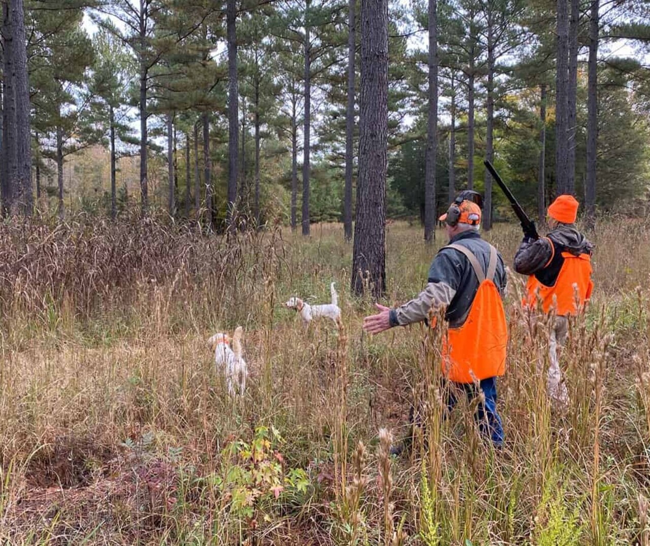 (0503 Live) Two Person Quail Hunt auction item image