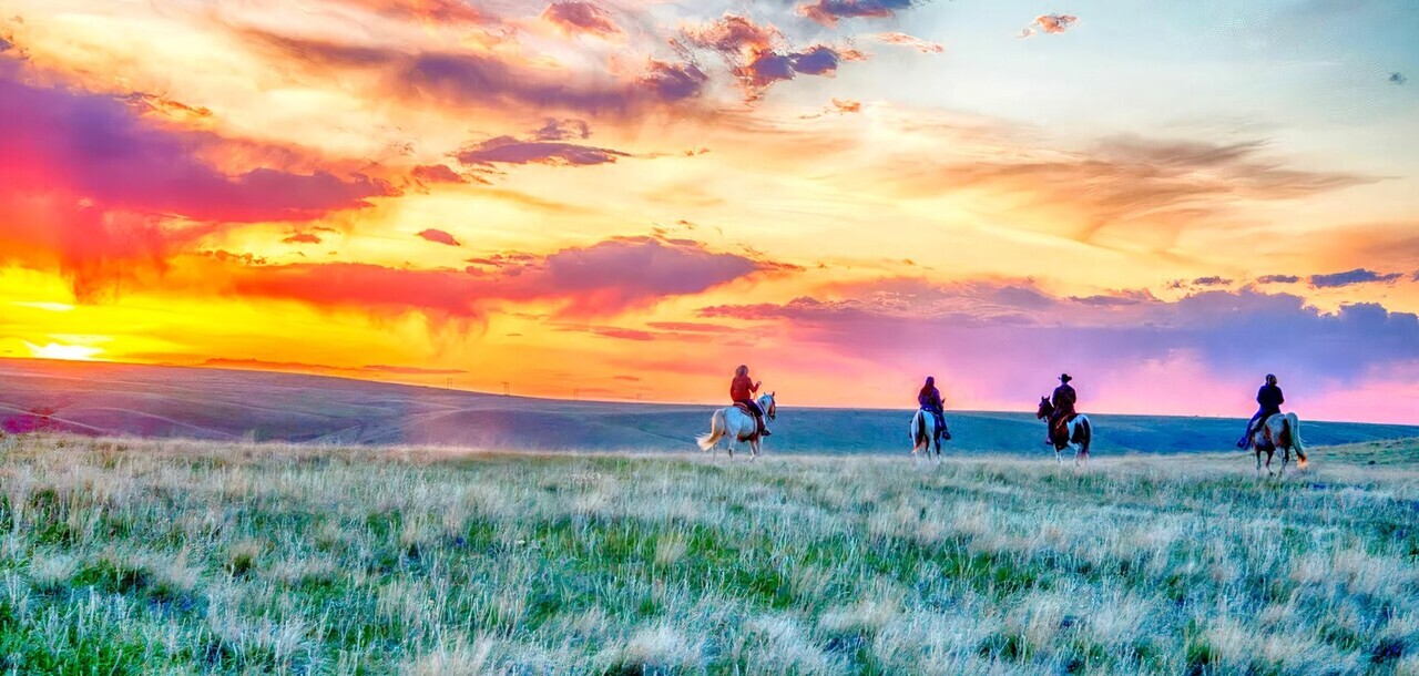 (0506 Live) Montana Ranch Retreat auction item image