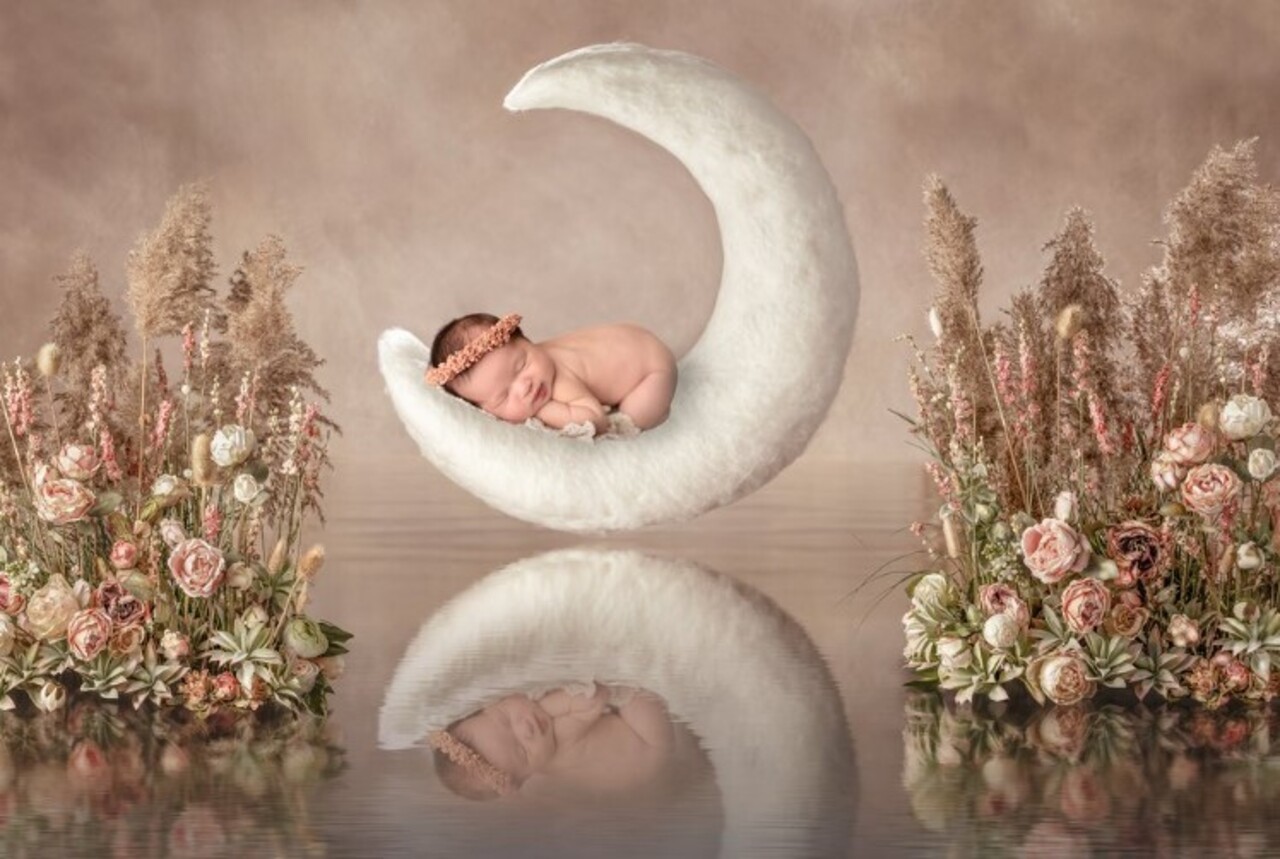 Erin Wilwert Photography auction item image