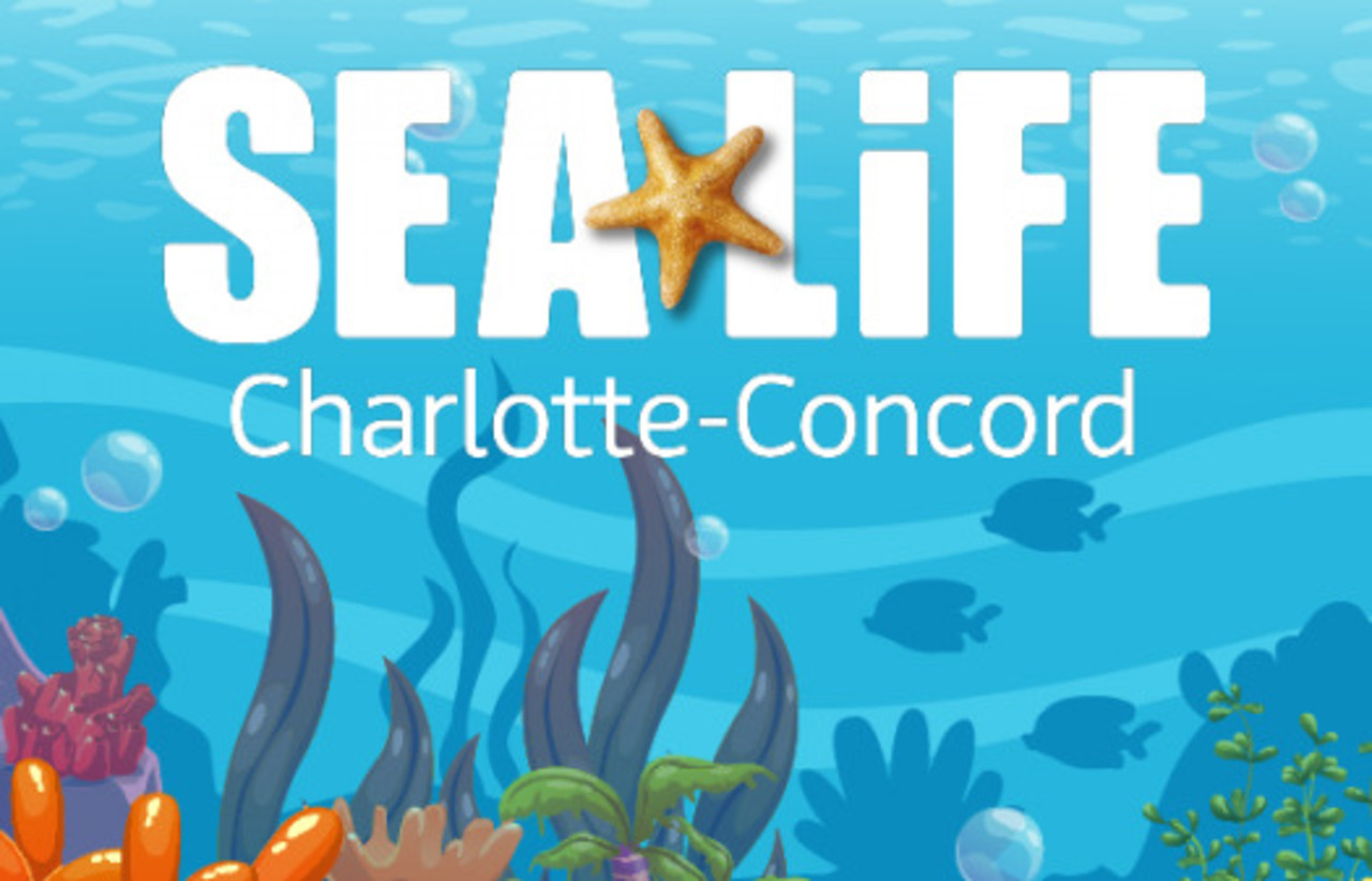 Sea Life Aquarium auction item image