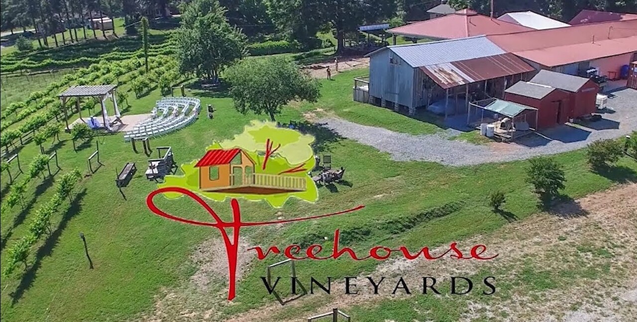 Treehouse Vineyards Date Night auction item image