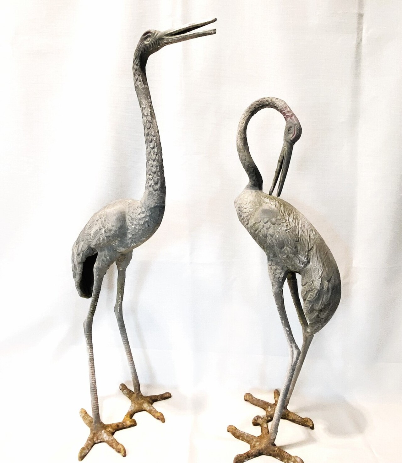 Friends of the Garden auction item image