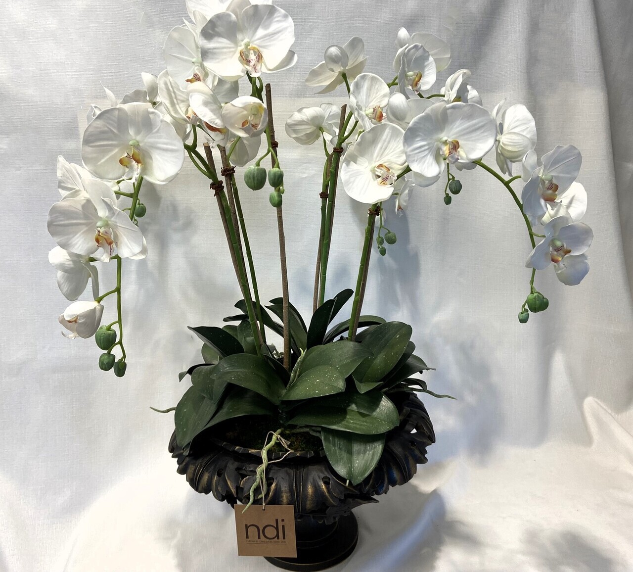 White Orchids in Wooden Pedestal auction item image