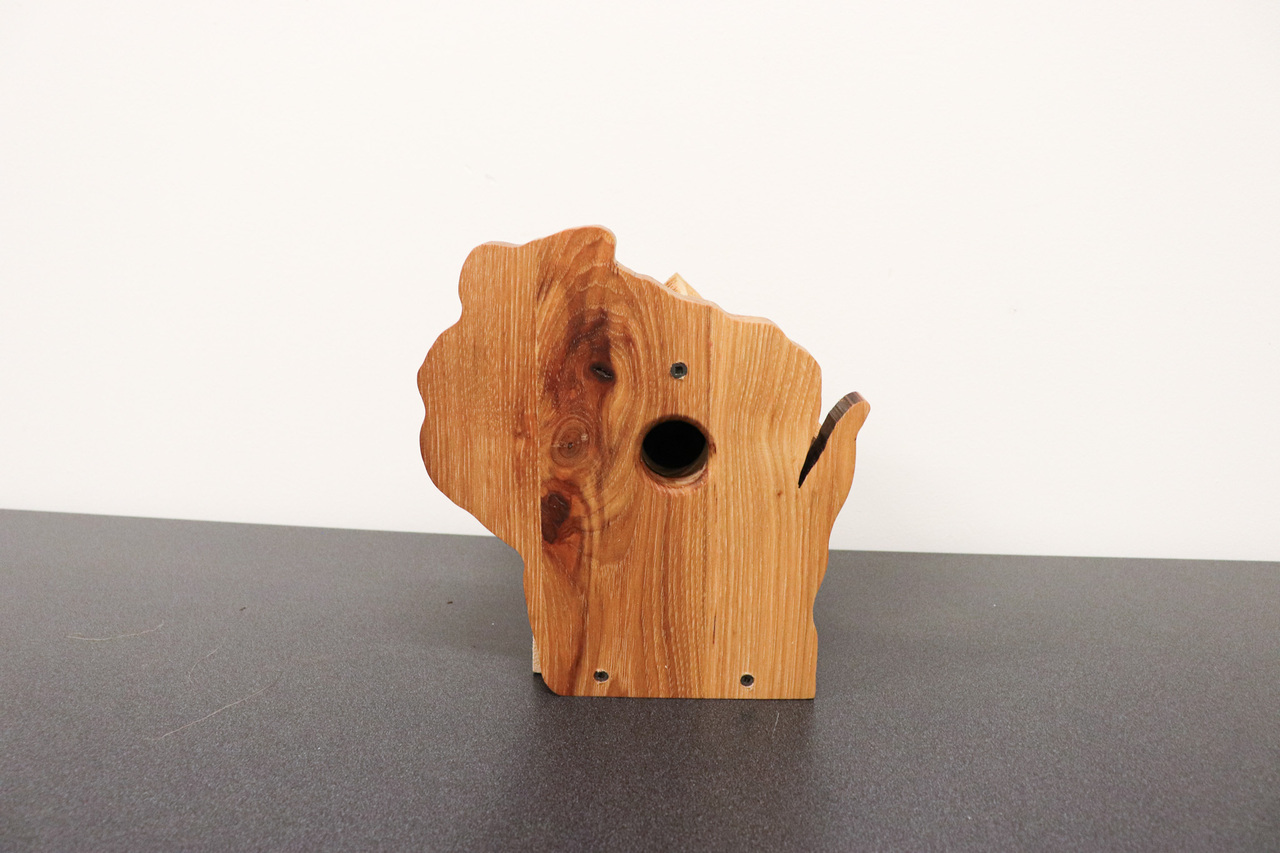 Badger State Bird Bungalow auction item image