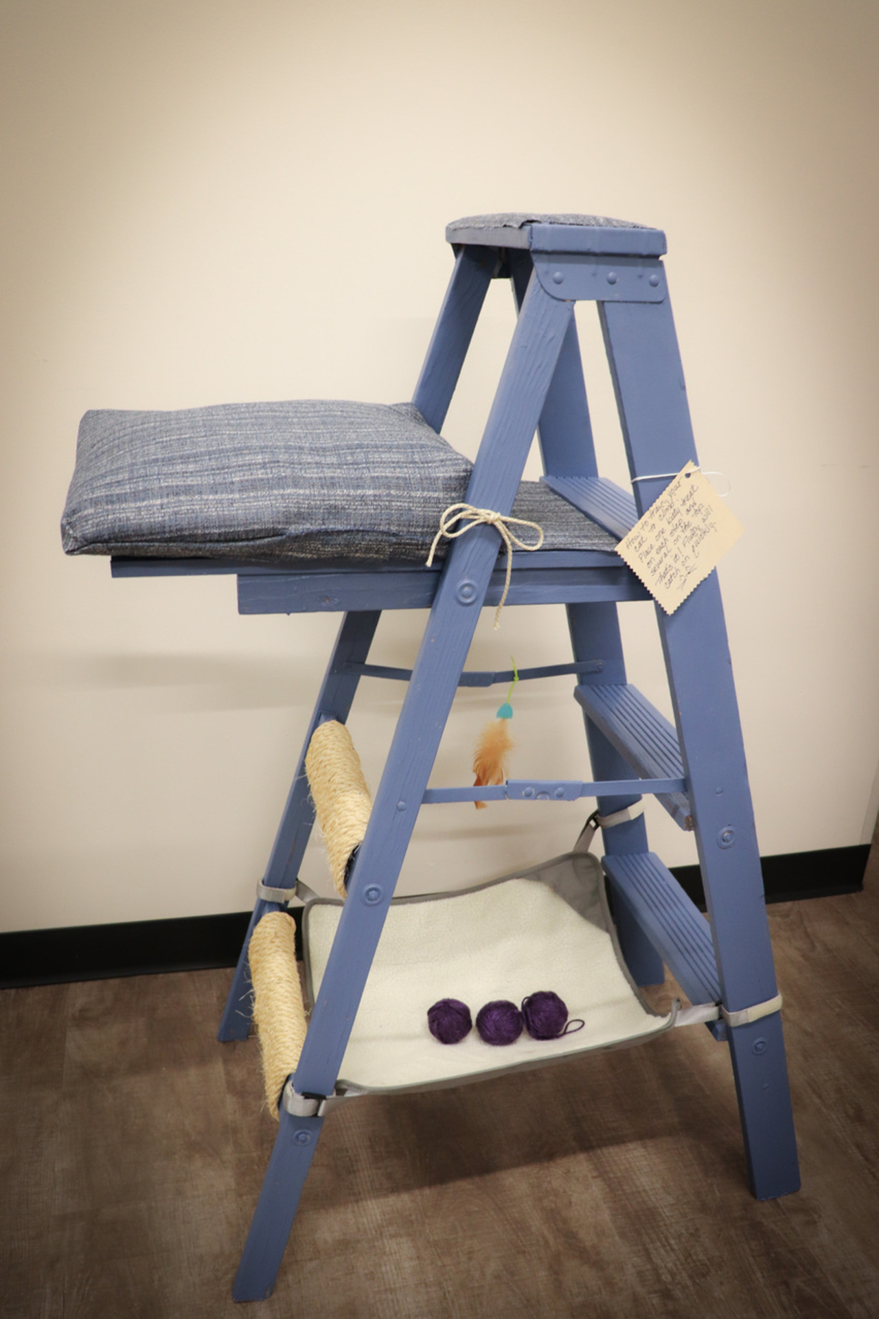 Feline Fortress of Fun auction item image