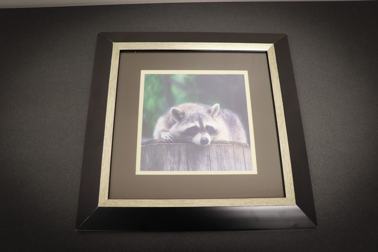 Woodland Wanderer auction item image