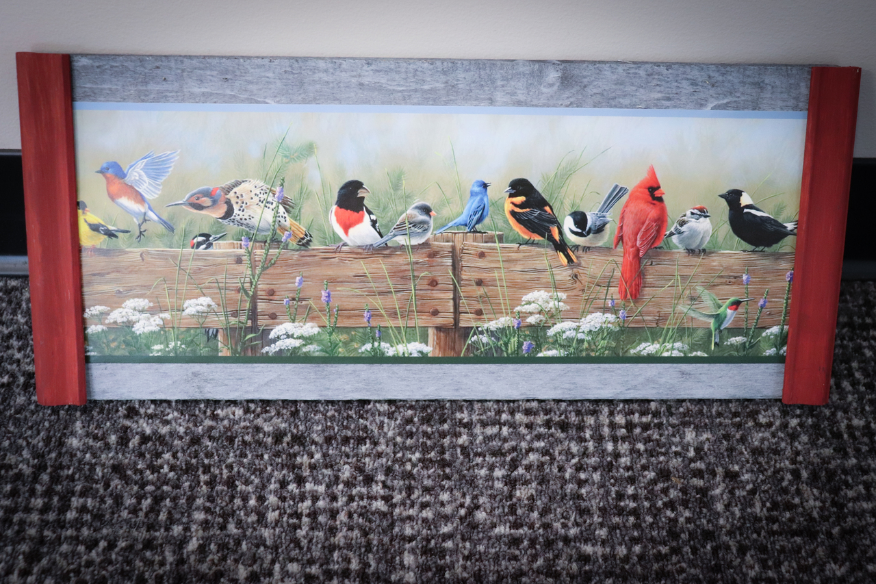 Bird Picture auction item image