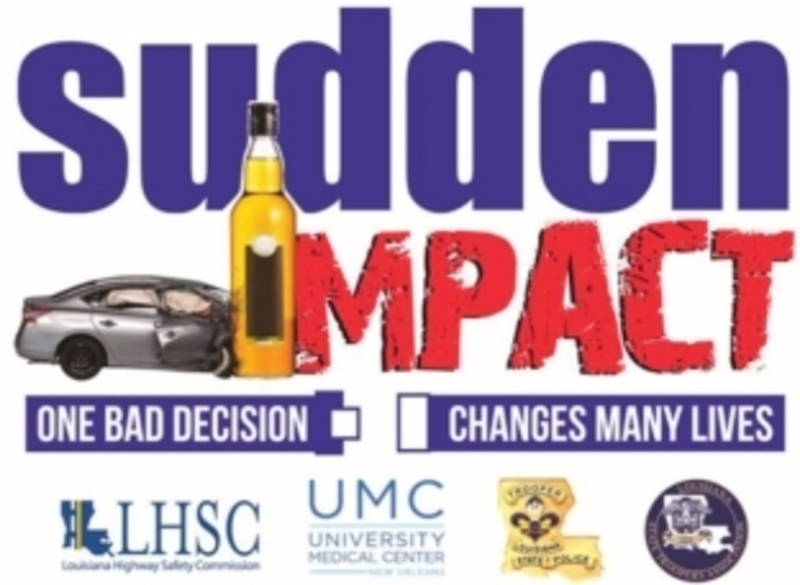 Sudden Impact - Catholic High School (LALG) logo