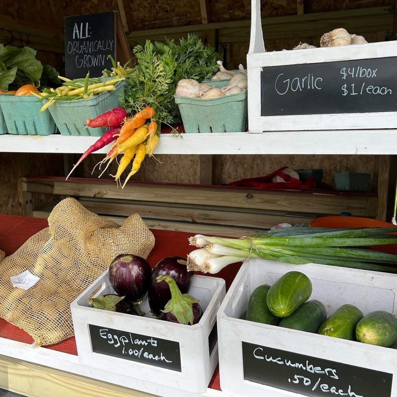 True North Farm - Farm to Fork Foodlink Dinner logo