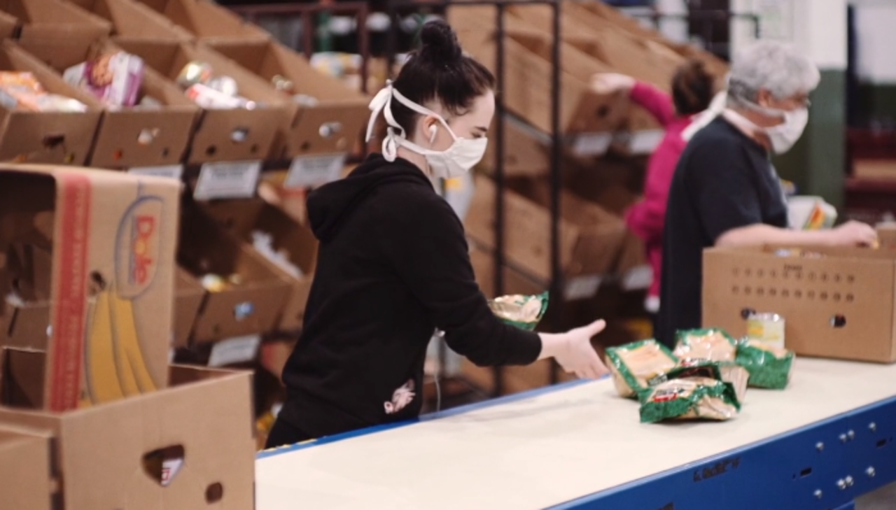 Foodlink Volunteer Donation Portal logo