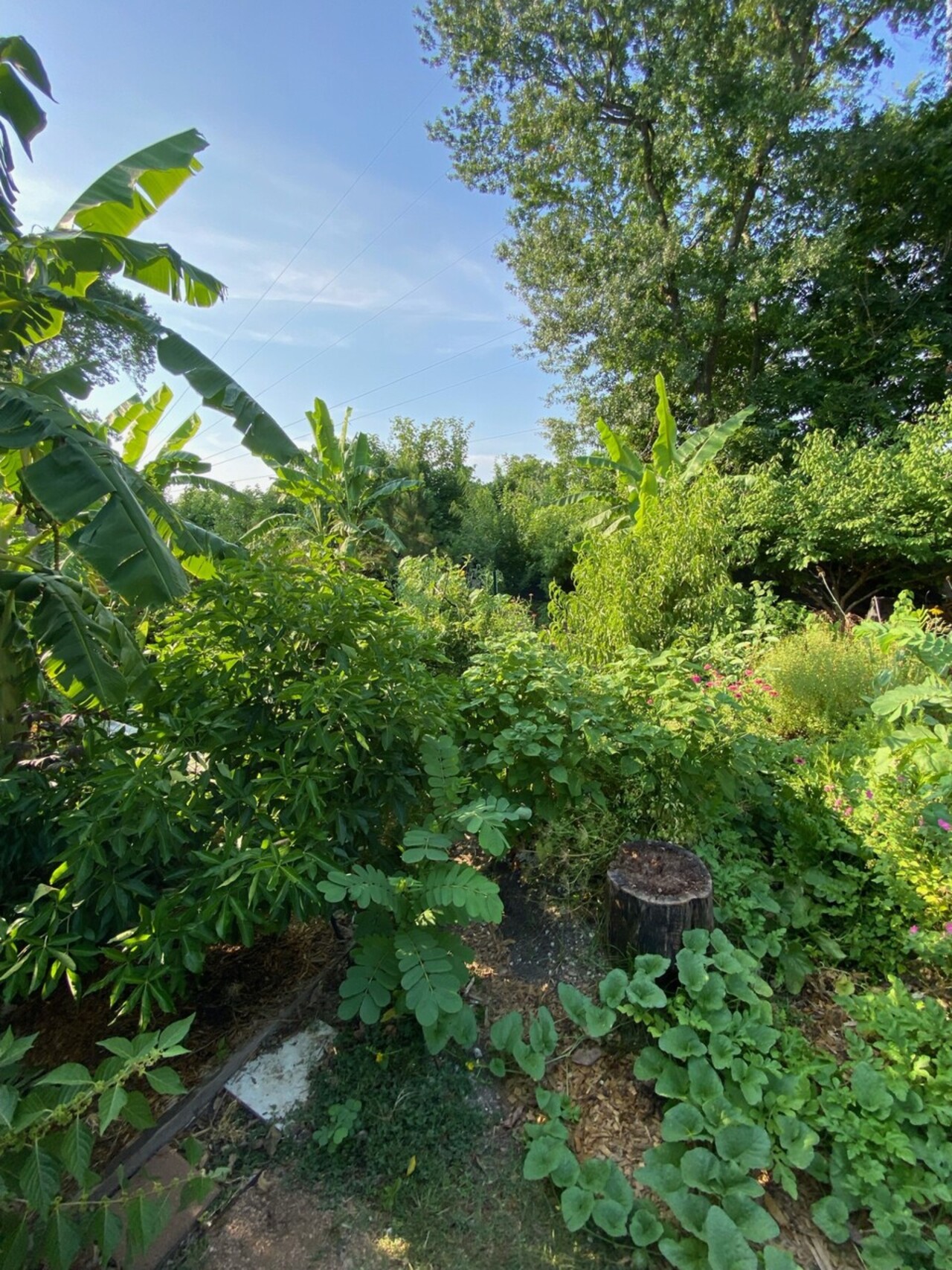 SOLD OUT: Regenerative Gardening - Healing & Building While Growing logo