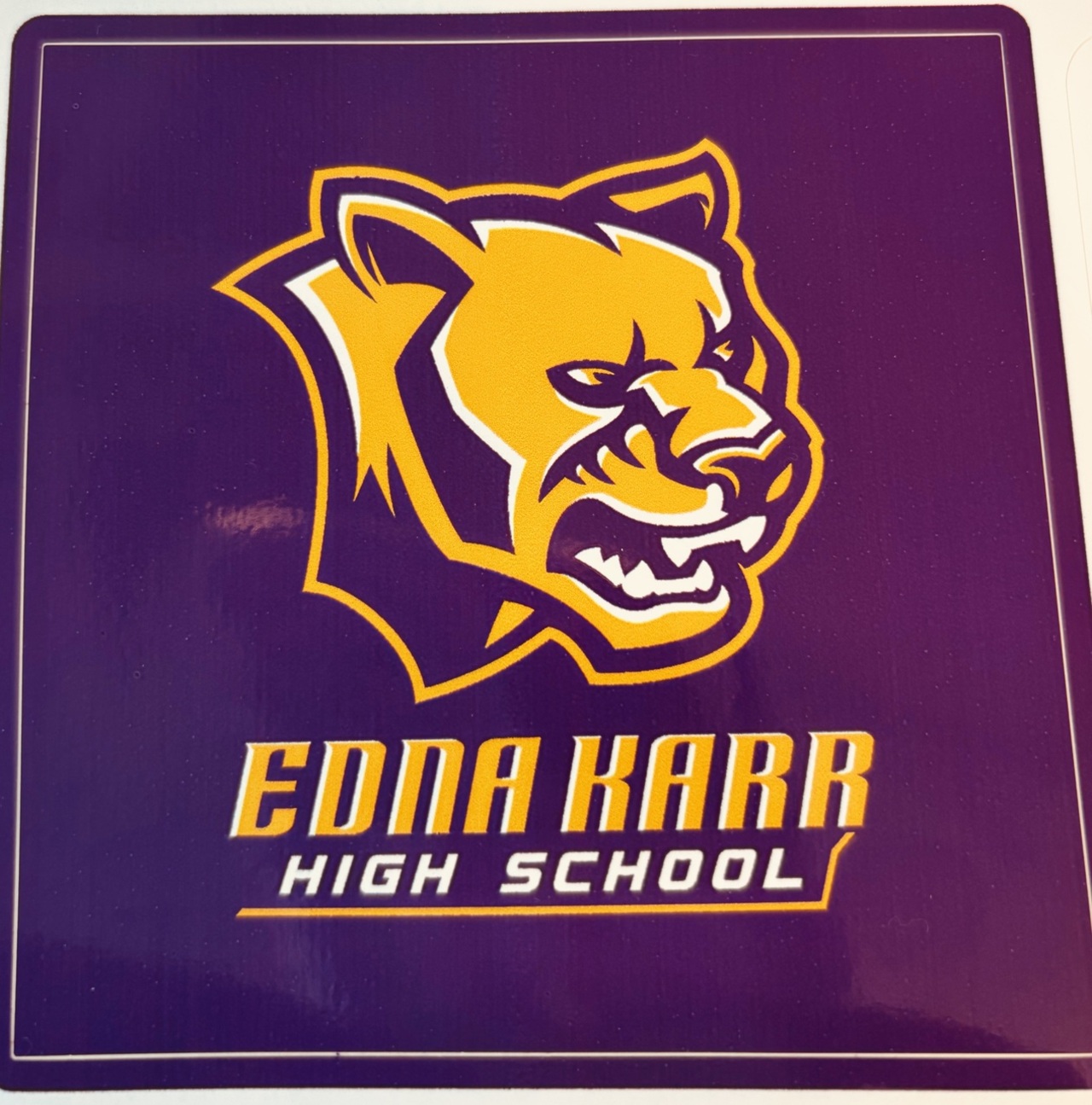 EDNA KARR HIGH SCHOOL logo