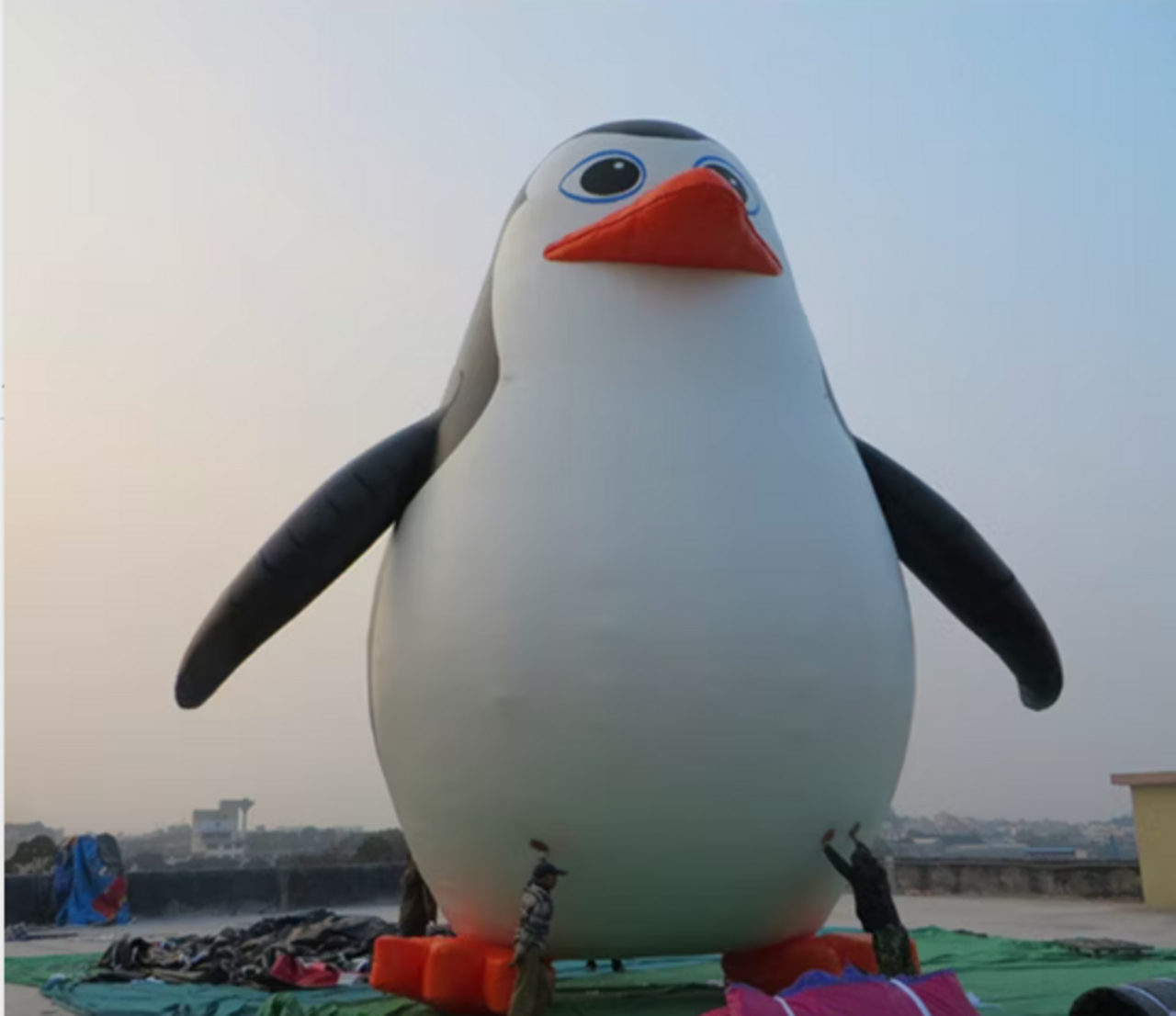 49th Annual Penguin Plunge Volunteers INTERNAL logo