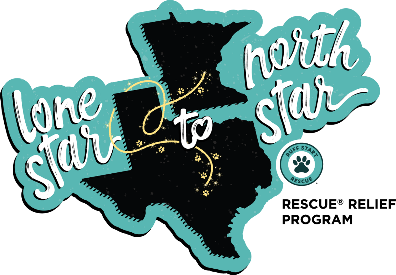 Lone Star to North Star logo