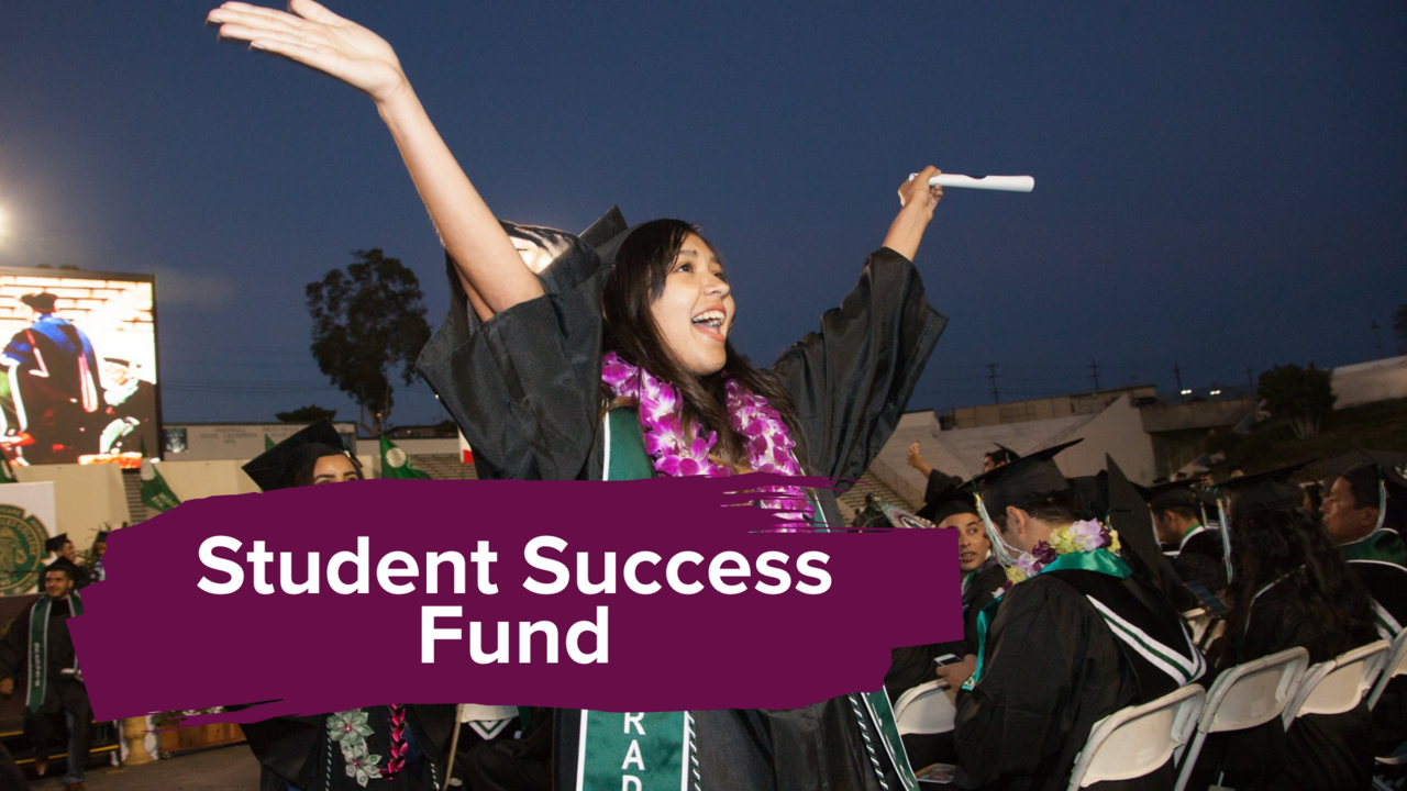 Student Success Fund logo