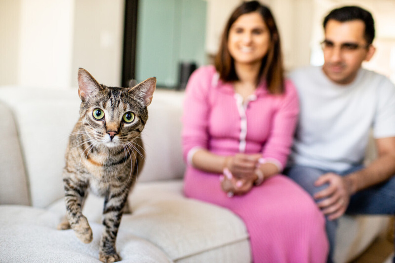 Keeping Pets with Their Families: Owner Surrender Prevention Program logo