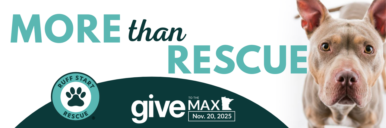 GTMD Matching Gifts 2025 logo