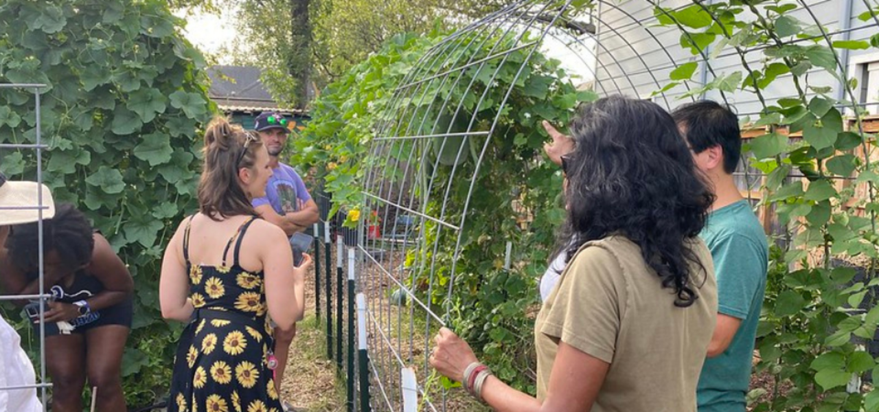 Ornamental Design and Aesthetics (Highland Park) logo