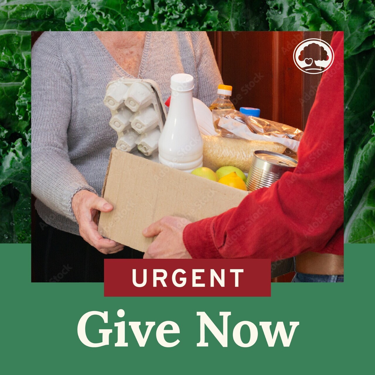 Government Shutdown Crisis logo