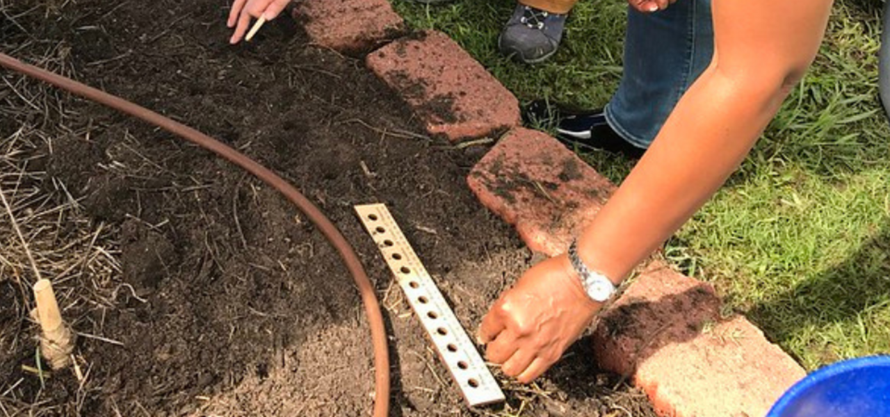 Collecting Cool Season Seeds (Highland Park) logo