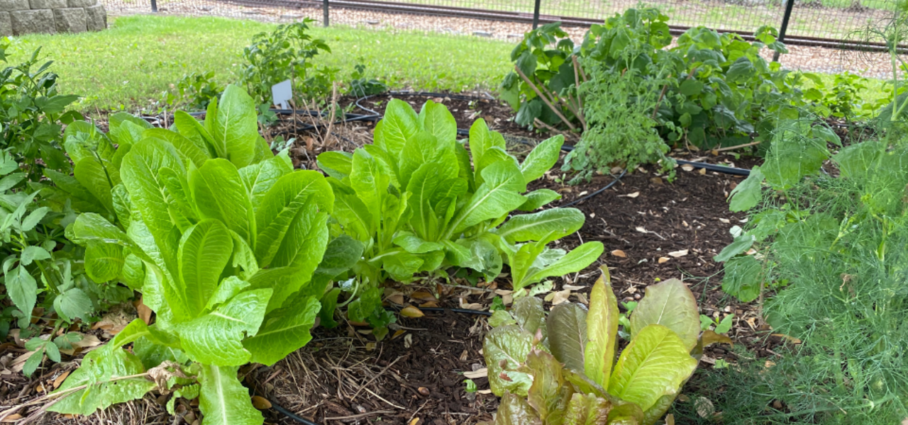 Review and Show and Tell (Highland Park) logo