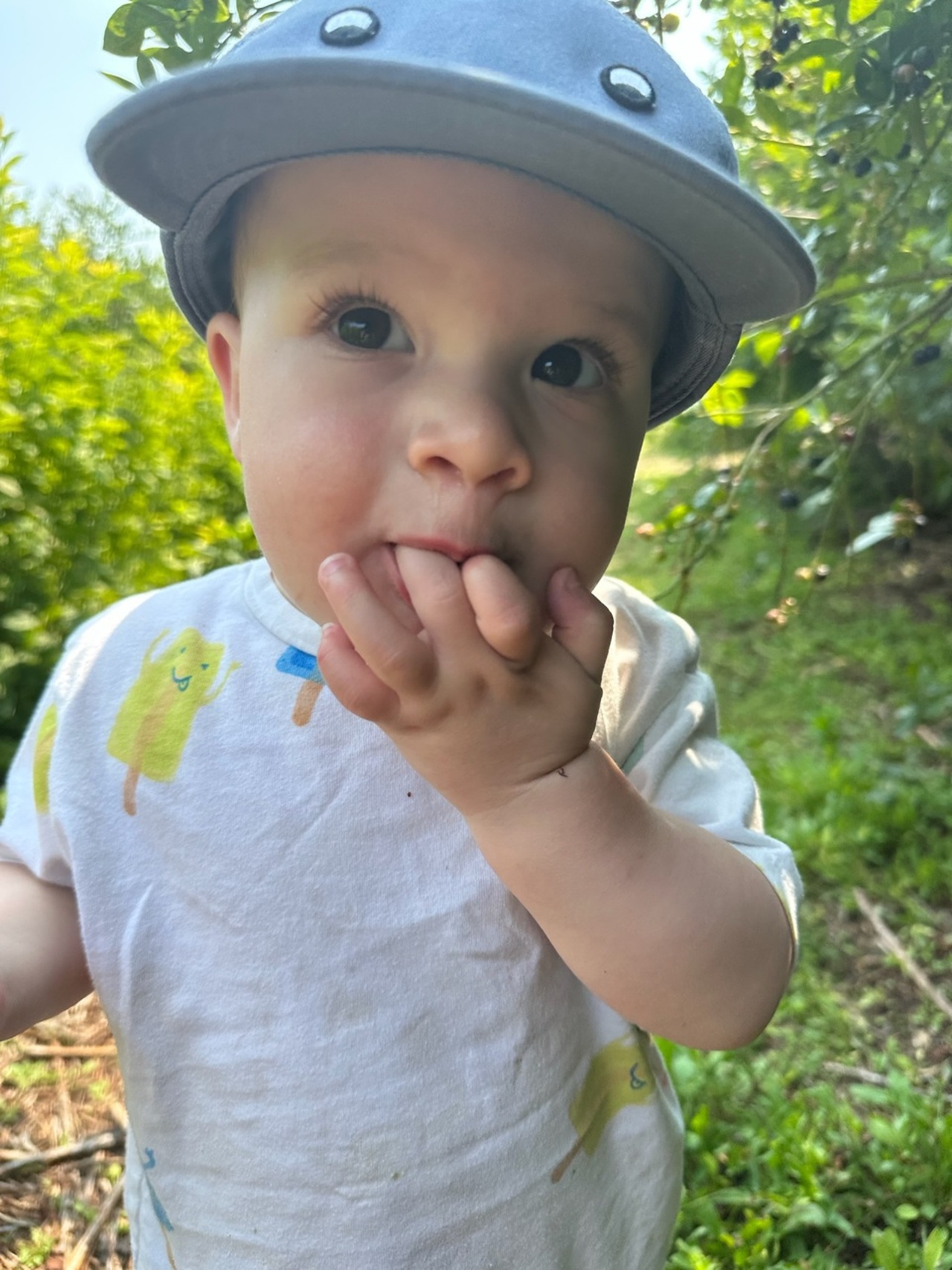 Tully's food fundraising campaign logo