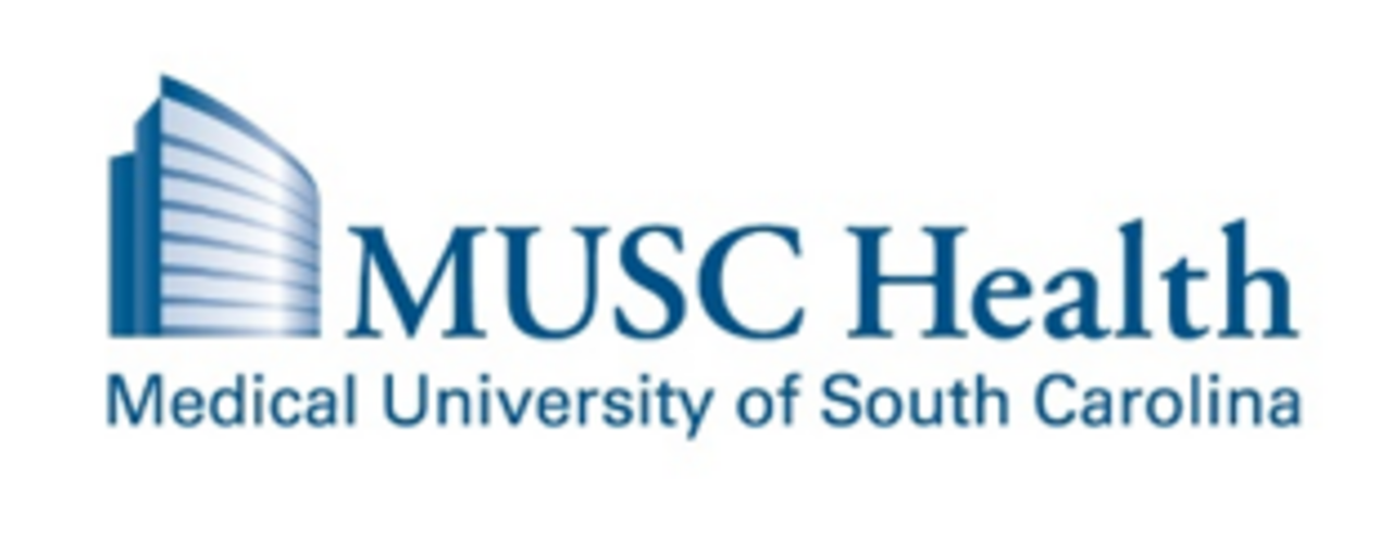 🏥 Healing Hands, Feeding Hearts Virtual Food Drive logo