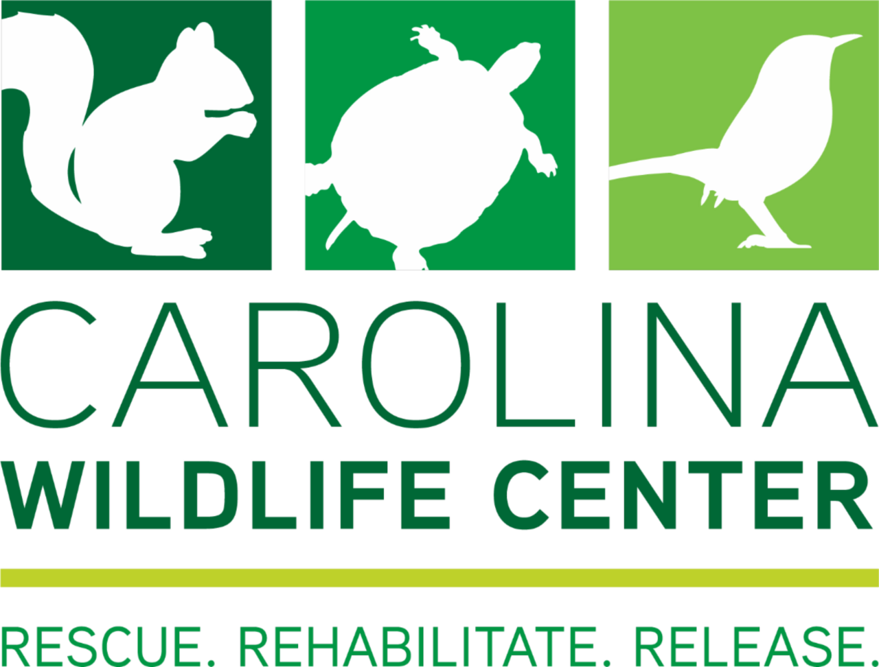 🐦 Nourishing Nature, Feeding Hope logo