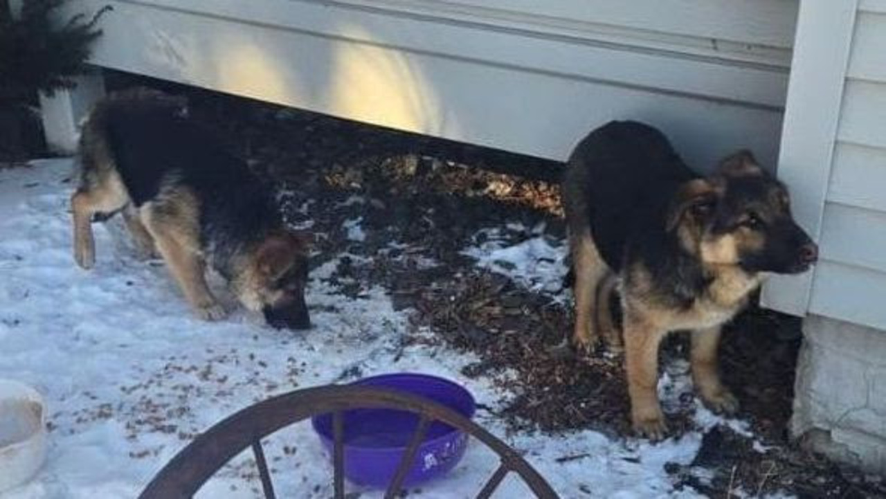 2025 Year End Campaign logo