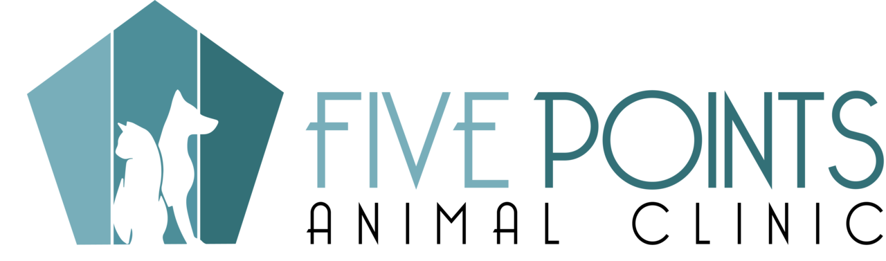 🐾❤️ Paws for a Purpose logo