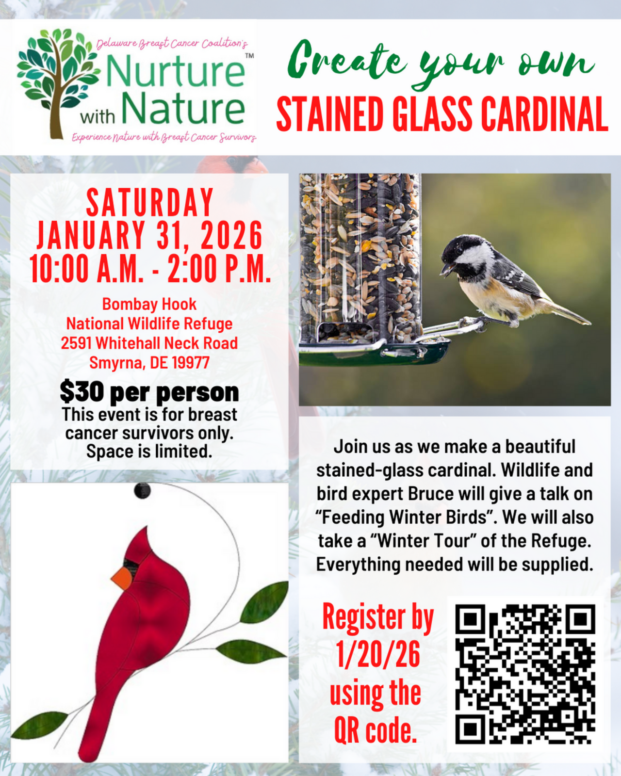 NWN Create Your Own Stained Glass Cardinal logo
