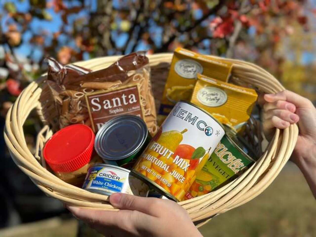 Ashford Village November Food Drive logo