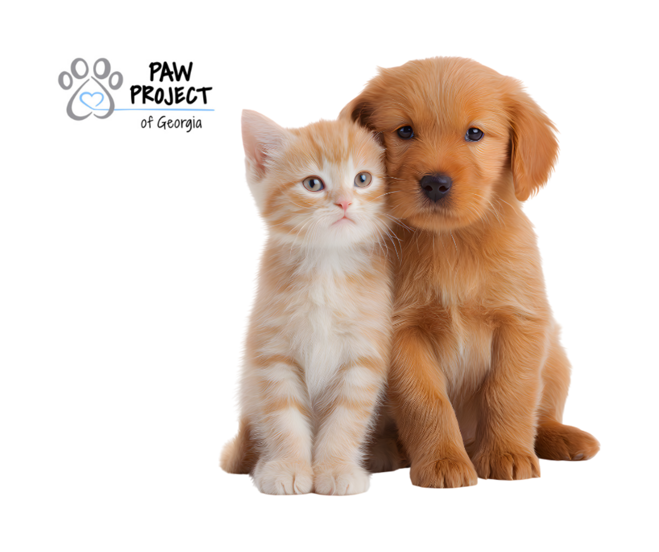 General Office Donation Box logo