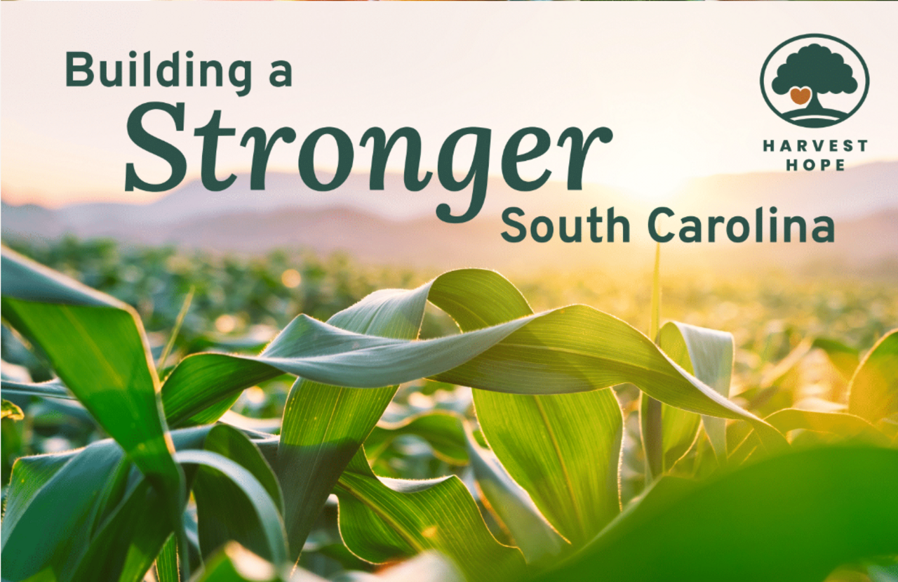 Build a Stronger SC logo